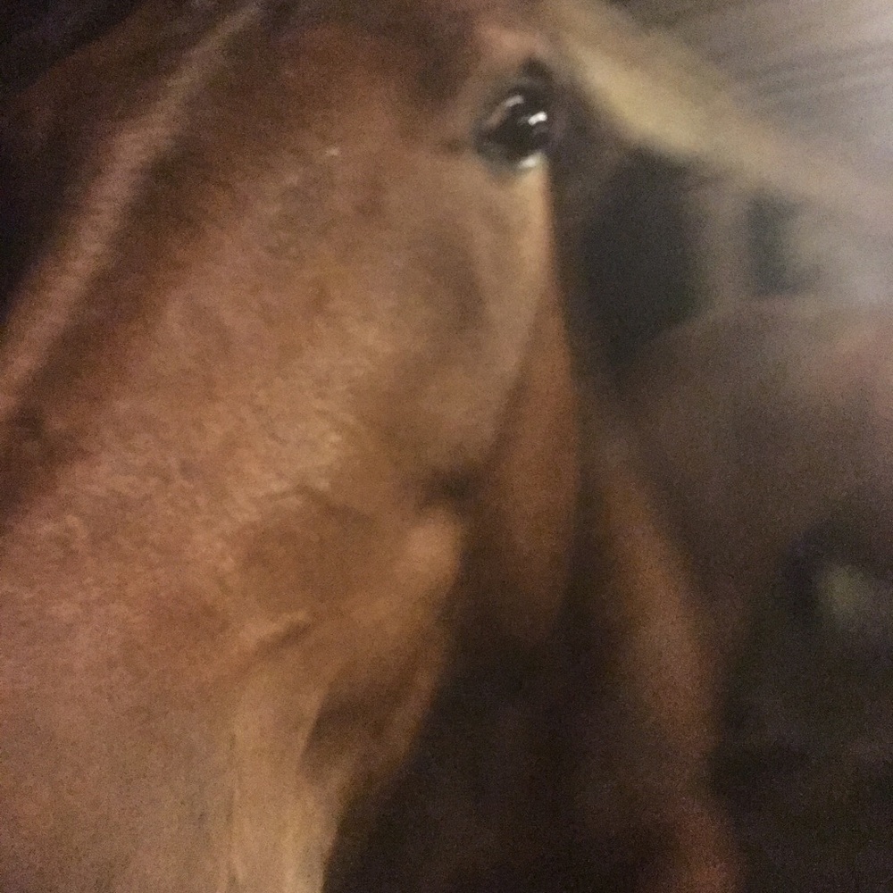 Meet your Posher, Lindsay